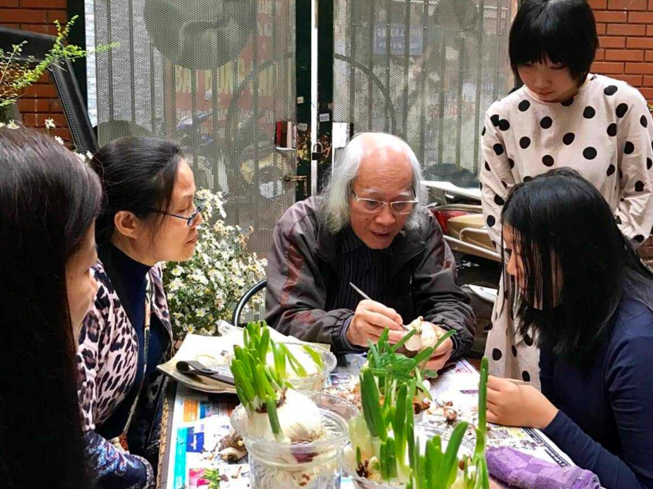 Tỉa hoa thuỷ tiên - thú chơi Tết tao nhã của người Hà thành