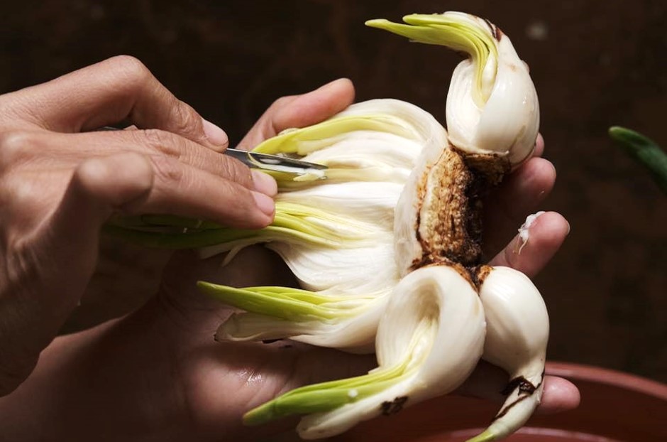 Không có mô tả ảnh.