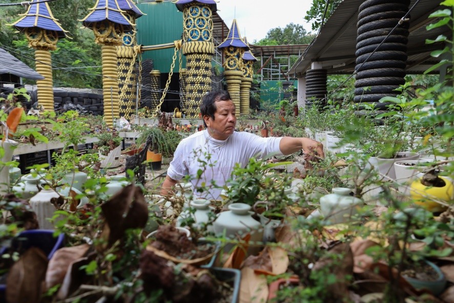Bộ sưu tập hơn 5.600 bonsai tí hon