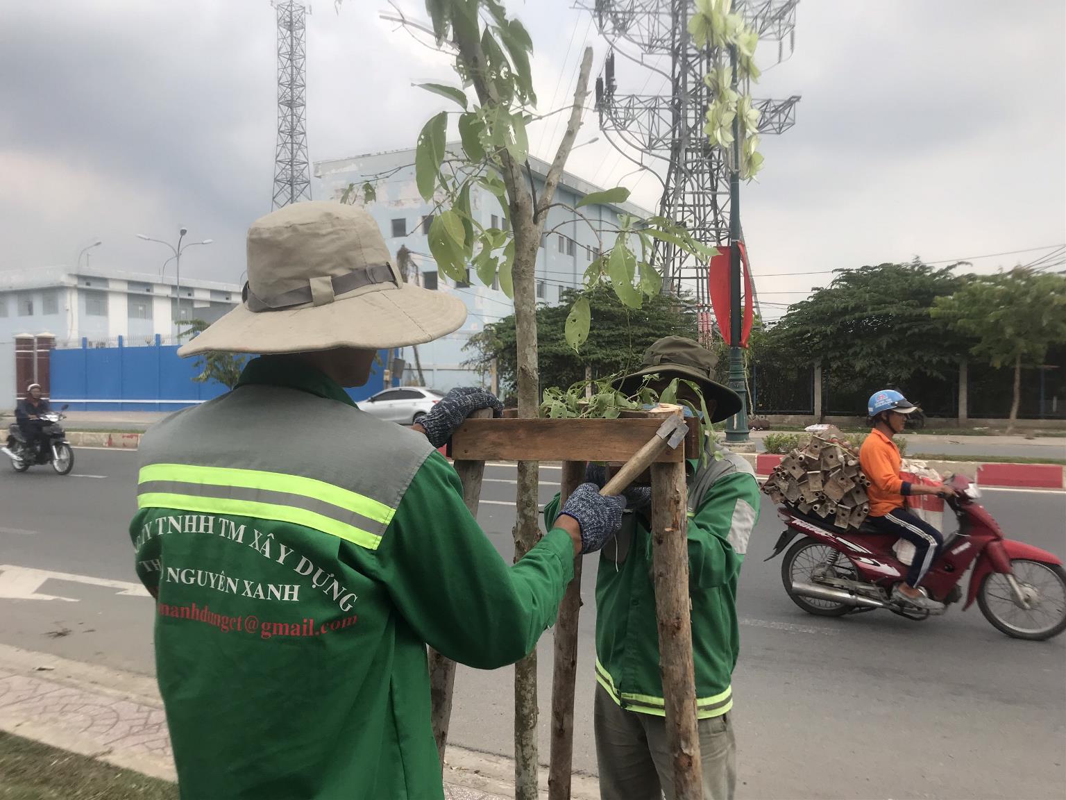 Thi công trồng cây đường Lê Văn Việt- đoạn từ đường Lã Xuân Oai đến Ngã ba Mỹ Thành