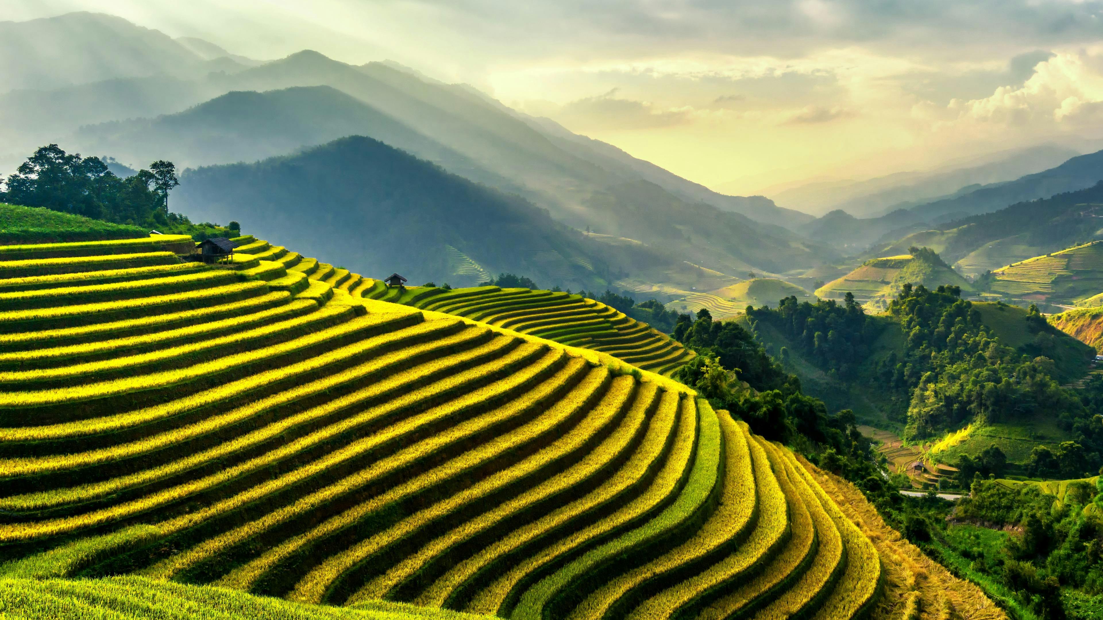 canh-quan-nong-nghiep-viet-nam-va-the-gioi