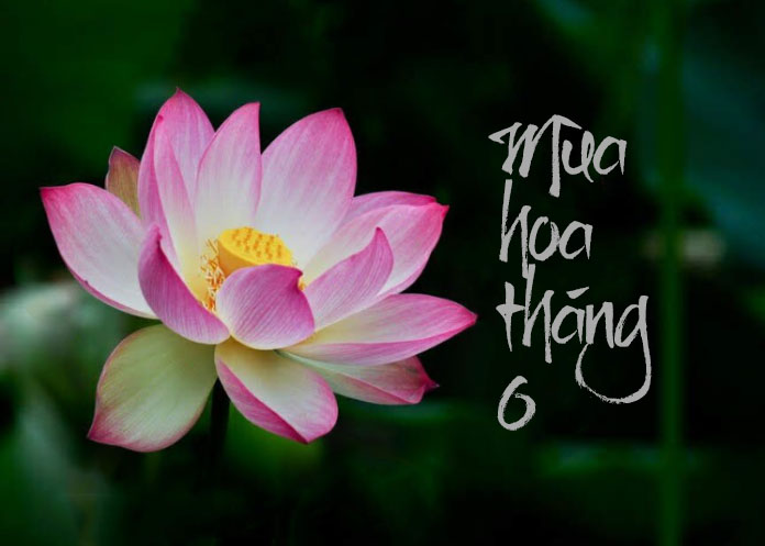 Mùa hoa tháng 6