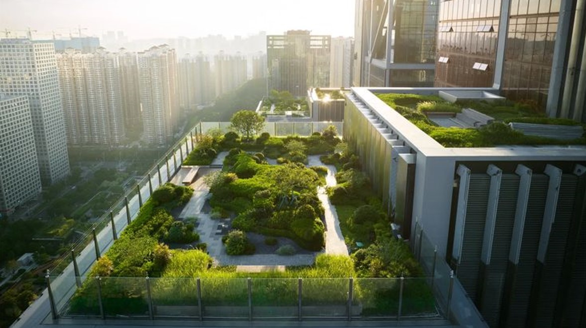 Những lưu ý khi thiết kế vườn trên mái