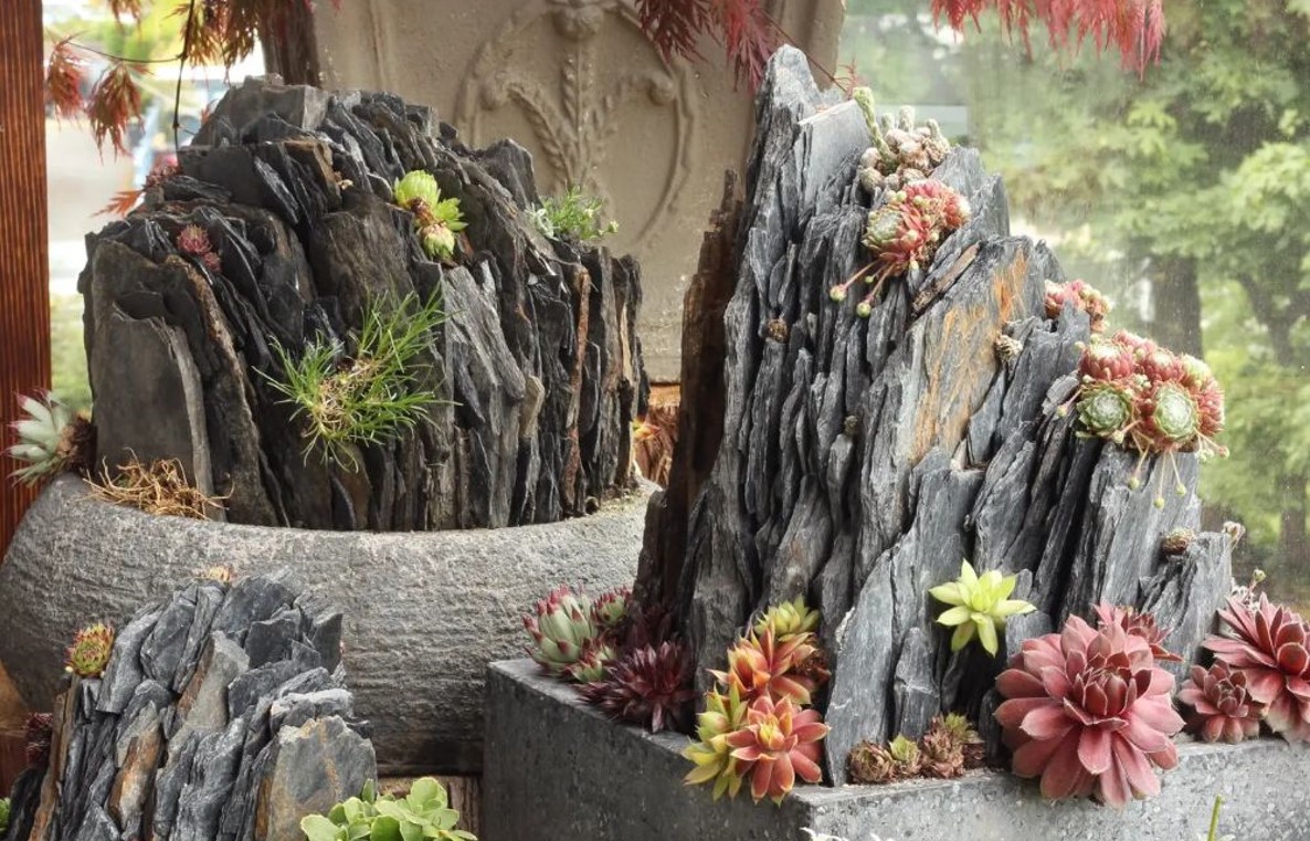 crevice-garden-–-mot-phong-cach-vuon-doc-dao