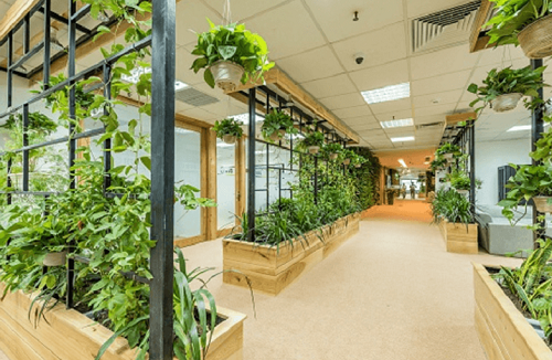 Thiết kế cảnh quan sân vườn cho văn phòng sẽ làm cho không gian làm việc trở nên tràn đầy sinh khí. Với thiết kế này, không chỉ giúp cho bạn có thêm không gian xanh để thư giãn mà còn có tác dụng làm giảm stress, tăng cường sức khỏe. Xem hình ảnh liên quan để thấy được hiệu quả của nó.