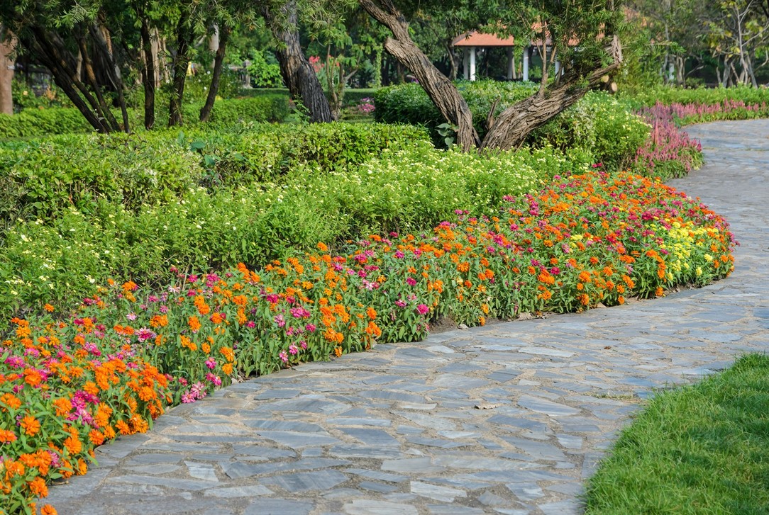 tong-hop-nhung-loai-cay-trong-vien-cho-cong-trinh