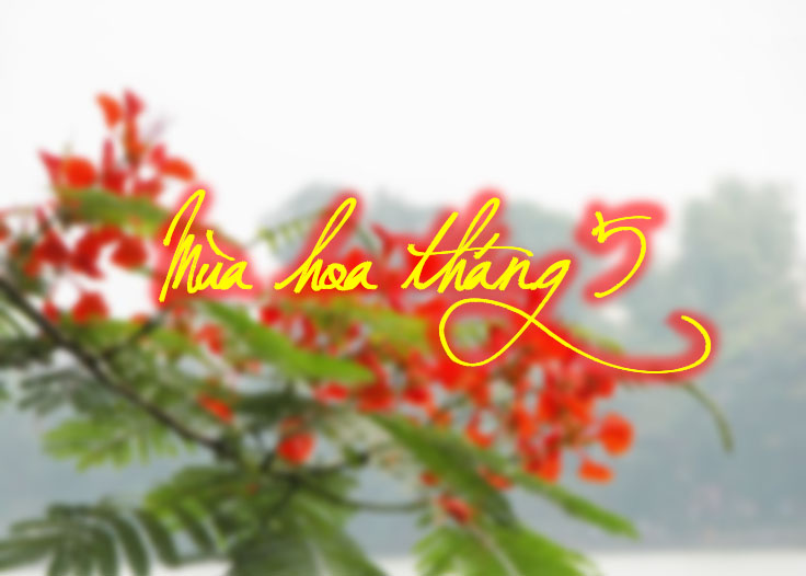 mua-hoa-thang-5