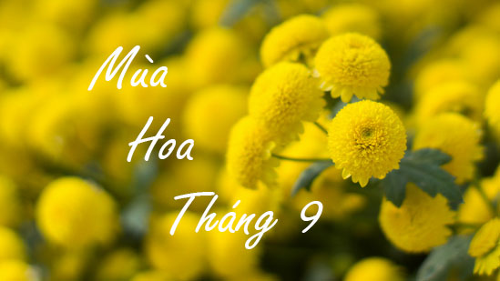 mua-hoa-thang-9